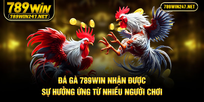 Đá gà 789Win nhận được sự hưởng ứng từ nhiều người chơi