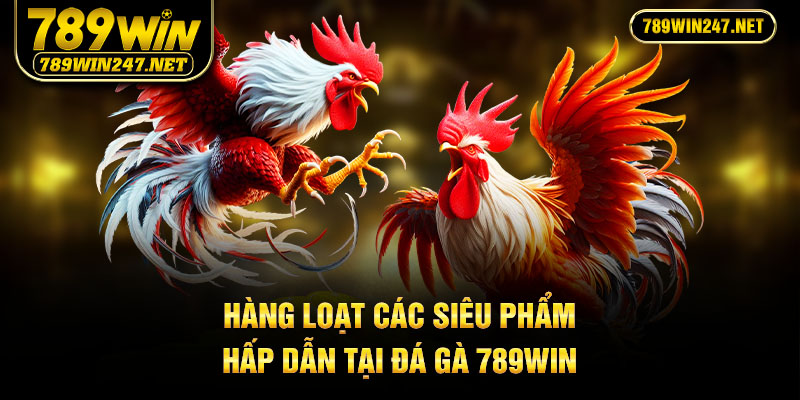 Hàng loạt các siêu phẩm hấp dẫn tại đá gà 789Win