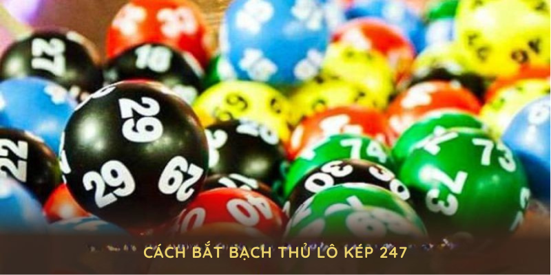 Cách bắt bạch thủ lô kép 247 đơn giản từ 789WIN