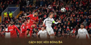 ảnh bìa cách đọc kèo bóng đá